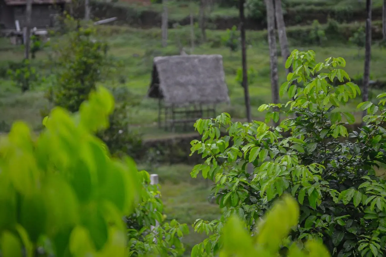 Resort Into The Roots Farm Stay Thattakād